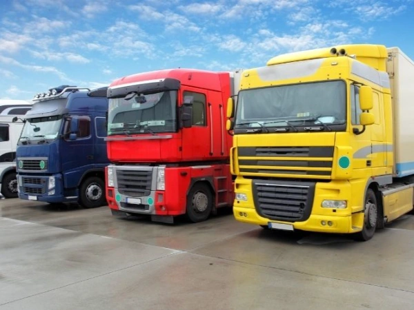 Antalya Kozlu Nakliye